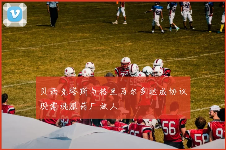 贝西克塔斯与格里马尔多达成协议现需说服药厂放人